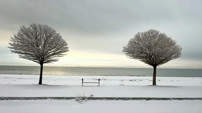 Doğu Anadolu'da Kar Yağışı Etkili, Yüzlerce Yol Ulaşıma Kapandı