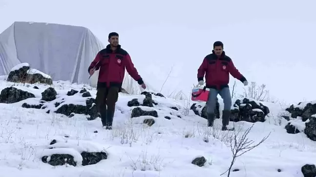 Çemişgezek'teki Veteriner Hekimler Kış Koşullarında Hayvan Sağlığı İçin Mücadele Ediyor