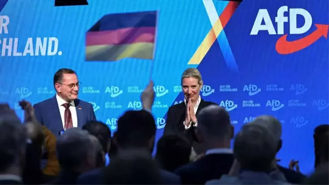 Almanya'da Türkler seçim sonuçları ve AfD'nin yükselişi hakkında ne düşünüyor?