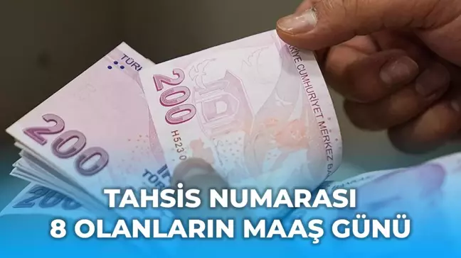 Tahsis numarası 8 olanlar ne zaman maaş alır?