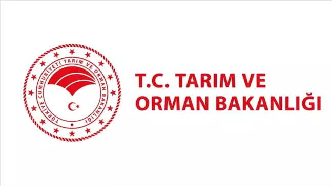 TARIM VE ORMAN BAKANLIĞI PERSONEL ALIMI Tarım ve Orman Bakanlığı personel alımı ne zaman, nasıl başvurulur?