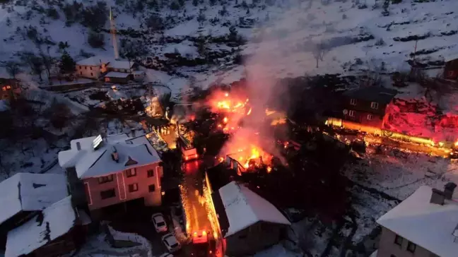 Kastamonu'da Çıkan Yangında 3 Ev ile Ahır Yok Oldu, 55 Hayvan Telef Oldu