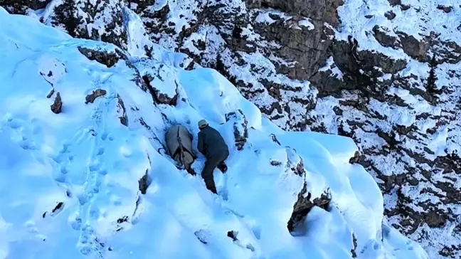 Erzincan'da Dron ile Yakalanan Kaçak Avcı Dağ Keçisini Avlamaya Çalıştı