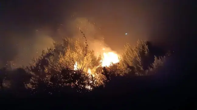 Hatay'da Zeytinlikte Çıkan Yangın Kontrol Altına Alındı