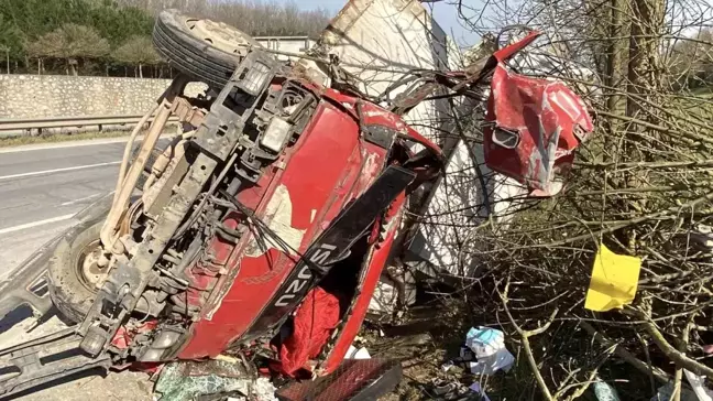 Kocaeli'de Kontrolden Çıkan Kamyonet Ağaçları Devirerek Yola Uçtu