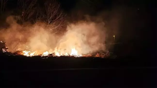 Sakarya'da Orman Yangını Kontrol Altına Alındı