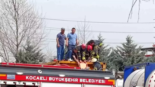 Kocaeli'de Tır Tankına Düşen İşçi Ağır Yaralandı