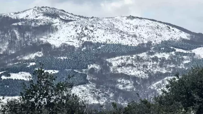 Balıkesir'de Soğuk Hava Dalgası ve Kar Yağışı Etkili Oluyor