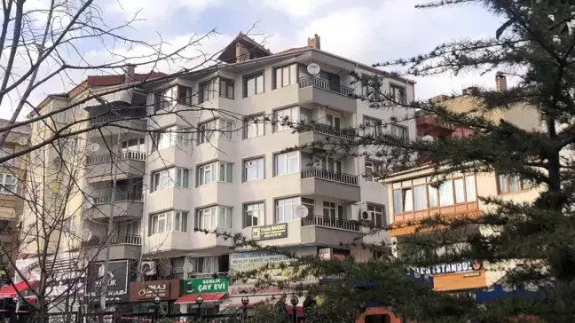 Bursa'da Şiddetli Rüzgar Sedir Ağaçlarını Uçurdu