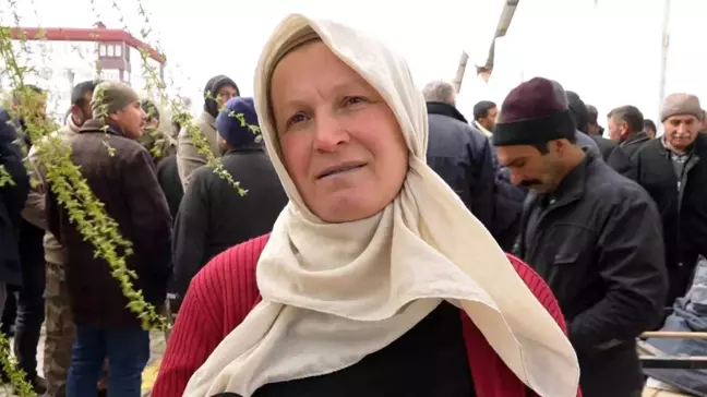 Kadın girişimcinin büyük azmi: Kendisi küçükbaş hayvan üreticisi, kocası çoban