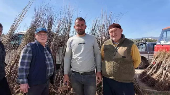 Gediz'de Fidan Dikim Sezonu Başladı