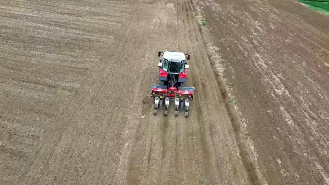 Tekirdağ'da Ayçiçek Ekim Sezonu Başladı