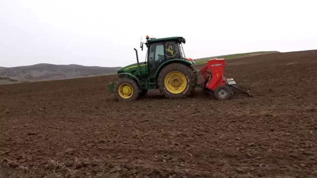 Yozgat'ta Nohut Ekimine Başlandı