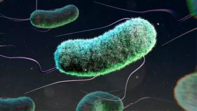 Antibiyotik Direnci: 2022'de Üç Milyon Çocuk Hayatını Kaybetti