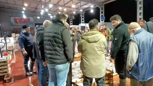 Av Yasağı Başladı, Küçük Tekneler Hala Açık Denizdeler
