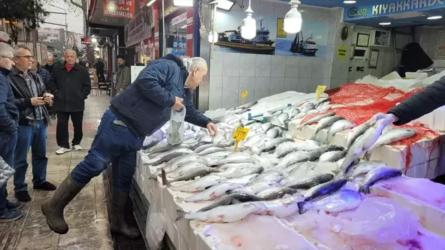 Samsun'da Somon Balığına Yoğun İlgi