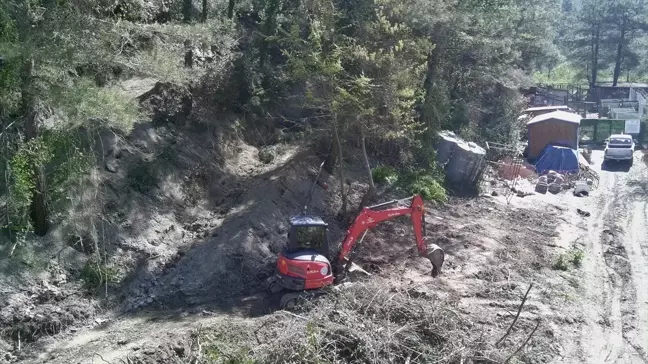Türkeli'de Sokak Hayvanları İçin Yeni Rehabilitasyon Projesi Başlatıldı