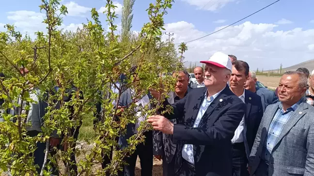 Zirai Don Felaketi: Çiftçiler Üzerindeki Baskı Artıyor