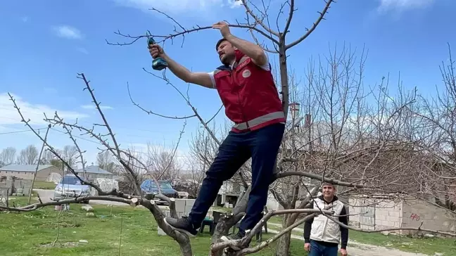 Van'da Çiftçiler Ağaç Budama ve Aşılama Eğitimi Aldı