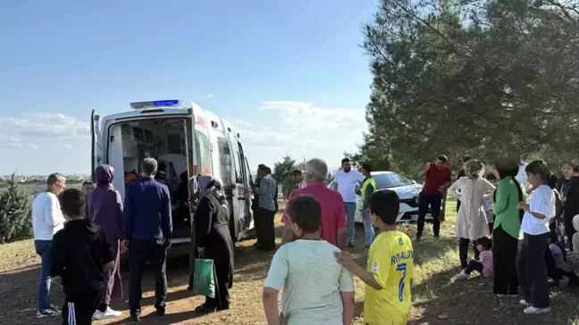 Diyarbakır'da Direksiyon Eğitimi Sırasında Kaza: 2 Yaralı