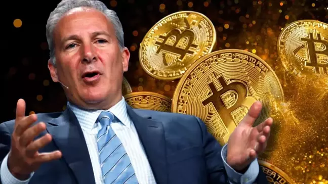 Ekonomist Bitcoin (BTC) fiyatının yükseliş nedenini açıkladı