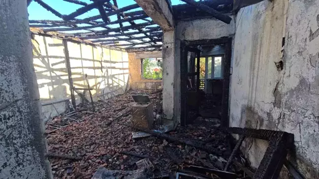 Karabük'te Yangın: 3 Kedi Telef Oldu, Kiracı Gözaltına Alındı