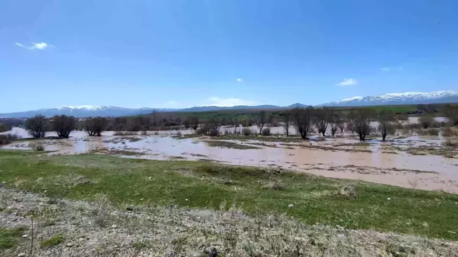 Ağrı'nın Taşlıçay İlçesinde Murat Nehri Taştı