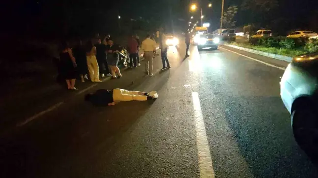 Domuz Sürüsüne Çarpan Motosiklet Sürücüsü Ağır Yaralandı
