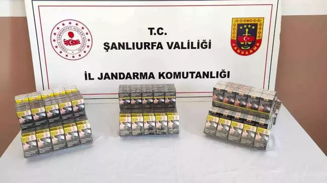 Şanlıurfa'da Jandarma Kaçak Sigara Operasyonu: Çok Sayıda Malzeme Ele Geçirildi