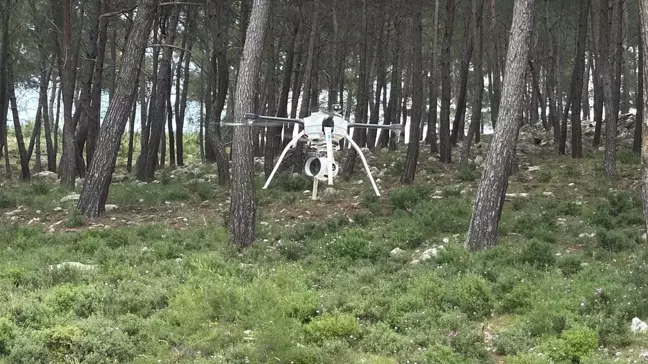 Bodrum'da Orman Yangınlarıyla Mücadele İçin Denetim Başlatıldı