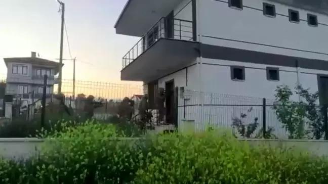 İstanbul'da Yasadışı Bahis Operasyonu: 7 Gözaltı