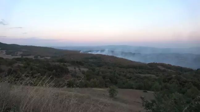 Kocaeli'de Orman Yangınlarına Karşı Önlemler Artıyor