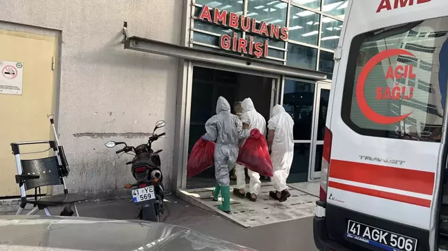Kocaeli'de Kimyasal Madde Depolama Sahasında 4 İşçi Zehirlendi