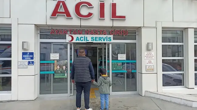 Başıboş Köpeklerin Saldırısına Uğrayan 5 Yaşındaki Çocuk Hastaneye Kaldırıldı