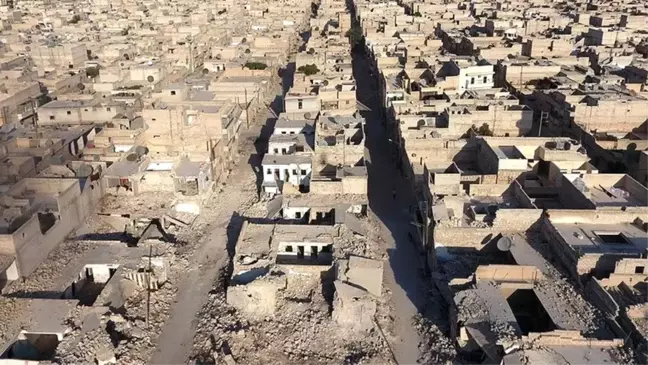 Irak ve Cezayir Suriye'deki Ateşkesten Memnun