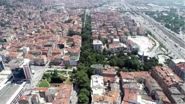 İzmit'i Tarihi Çınarlar Serinletiyor
