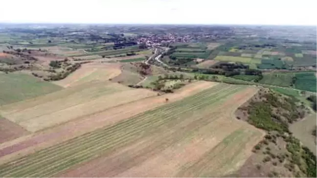 Tarımsal Sit Alanı Kırklareli Ovası'na Termik Santral Kurulmasına Tepki