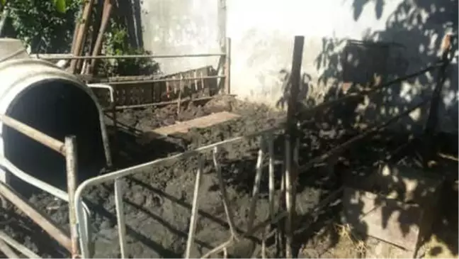 Kurbanlıkları Ağır Çeksin Diye Dışkıda Bekletti