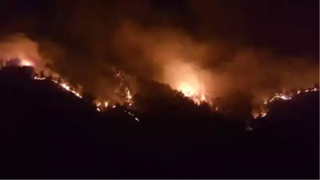 Sivas'ta Ormanlık Alanda Çıkan Yangın, Yerleşim Yerlerini Tehdit Ediyor (2)