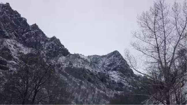 Tunceli'de, Mağarada Saklanan PKK'lı Teröristlere Operasyon (2)