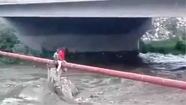 Canını Hiçe Sayıp, Nehir Üstünde Mahsur Kalan Çocuğu Kurtardı