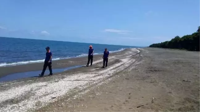 Samsun'da deniz kaybolan genç, 12 gündür aranıyor