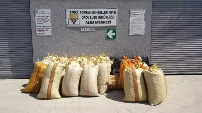 Serbest piyasadaki fındıkta fiyat düşüşü tedirgin ediyor