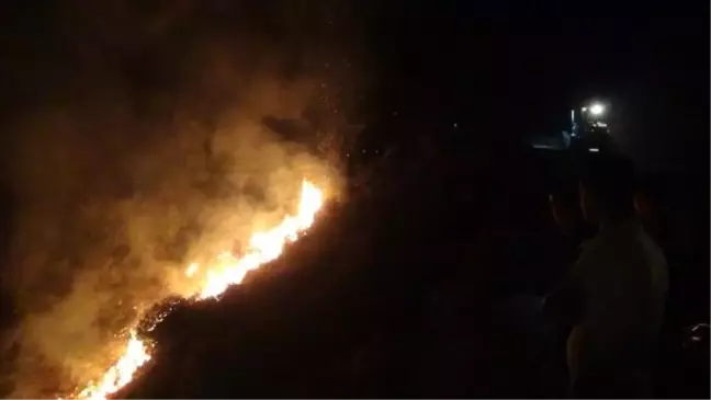 Hatay'da orman yangını (2)