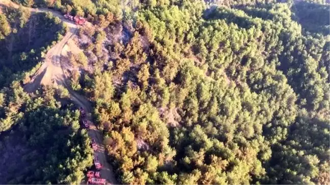 Hatay'daki orman yangını, 13 saat sonra söndürüldü
