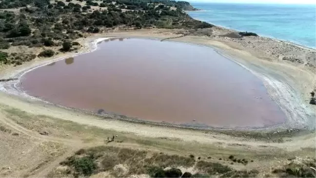Kalp şeklindeki 'pembe göl' turizme kazandırılacak
