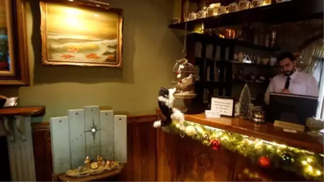 Banksy'nin yeni maketi Beltüllahim'de