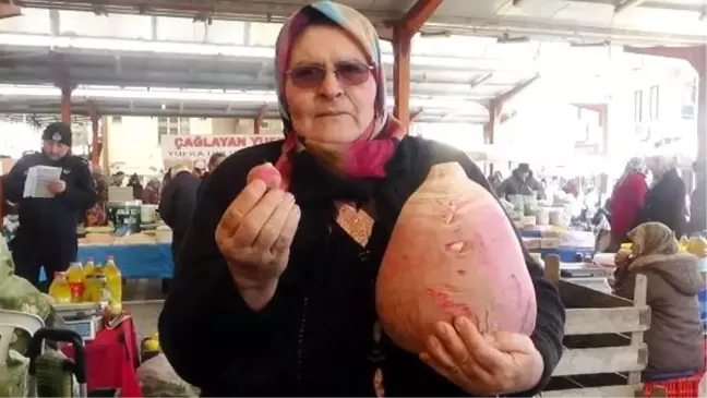 Bayramiç'te yetiştirilen 5 kiloluk turp şaşırttı