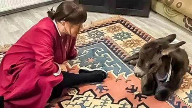 Fotoğraf güzel ama Sezen'in evi çiftlik değil