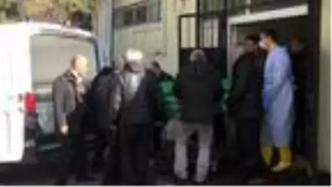 Refüje çarpan otomobilin sürücüsü öldü